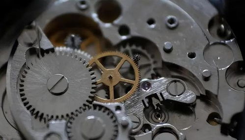 賊王 王彥青槍決前大喊 用 開鎖絕技 換一命,警方 成交